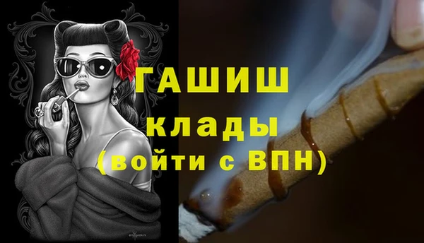 соль ск Дубна
