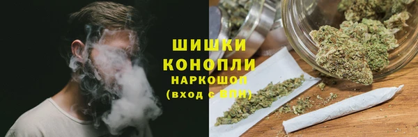 спиды Лагань