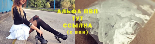 PSILOCYBIN Лабытнанги