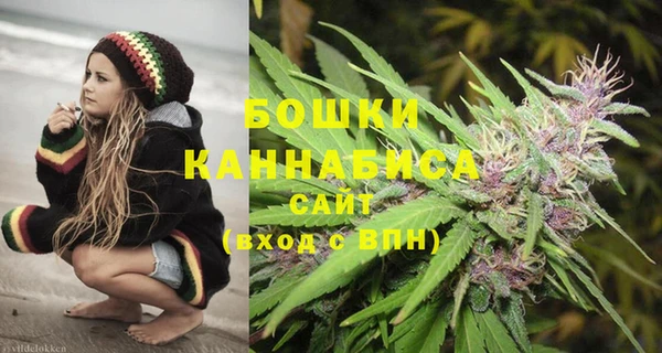 PSILOCYBIN Лабытнанги