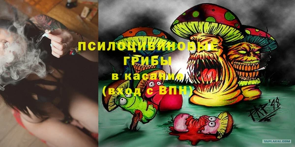 спиды Лагань