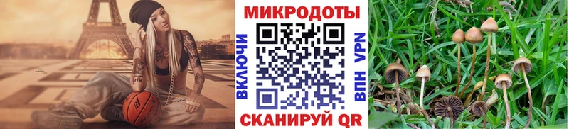 Псилоцибиновые грибы Magic Shrooms  где купить   Менделеевск 